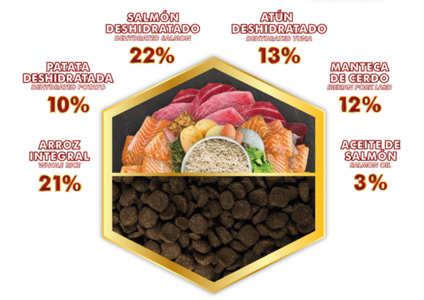 NUEVA FORMULA DE SALMON Y ATUN