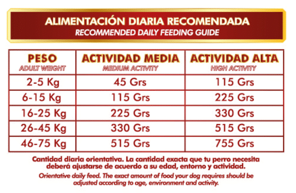 ALIMENTACIÓN DIARIA RECOMENDADA