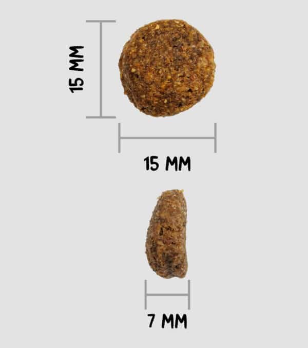 OWNAT CLASSIC MONOPROTEICO SALMON TAMAÑO CROQUETA