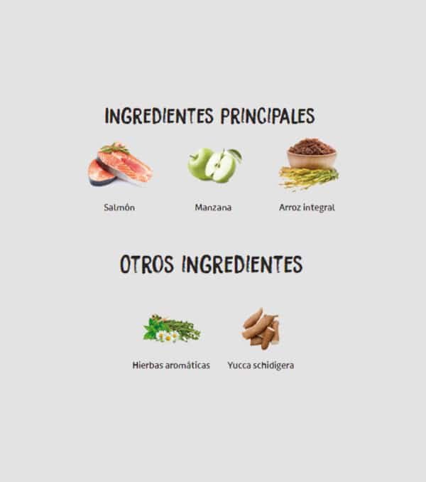 INGREDIENTES OWNAT CLASSIC MONOPROTEICO SALMON