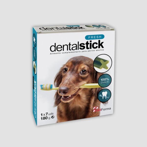 DENTAL STICK FRESH