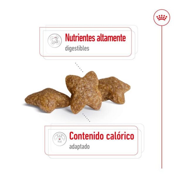 Royal canin mini adult nutrientes altamente digestibles