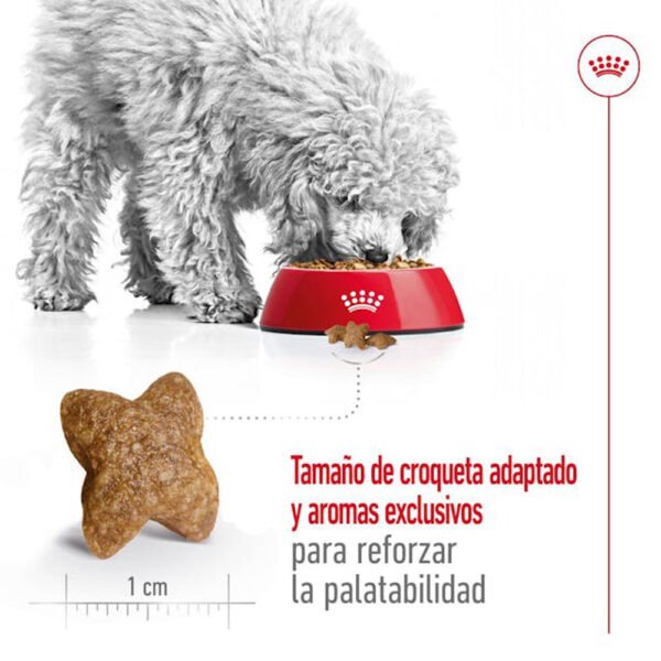 Royal canin mini adult tamaño croquetas