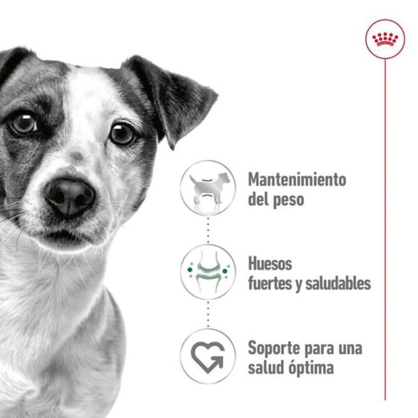 Royal canin mini adult beneficios