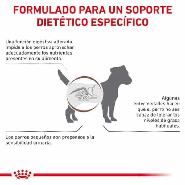 ROYAL CANIN GASTROINTESTINAL FORMULADO BASADO EN LA CIENCIA