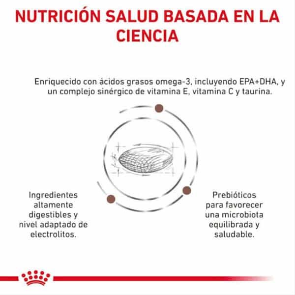 ROYAL CANIN GASTROINTESTINAL FORMULADO BASADO EN LA CIENCIA