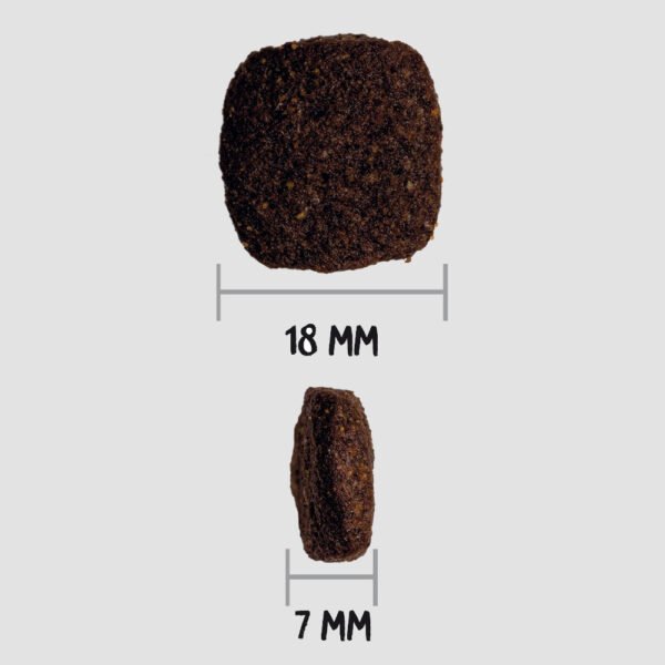 DELICIOSAS CROQUETAS PARA CUALQUIER RAZA T TAMAÑO