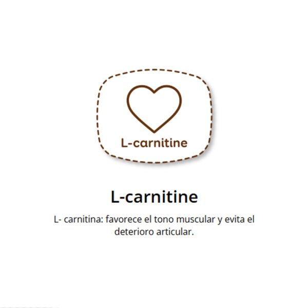 L-Carnitina