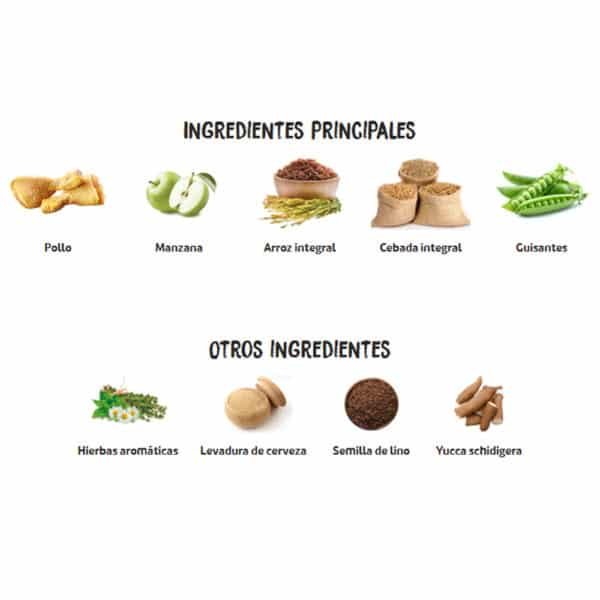 Los mejores ingredientes para tu cachorro