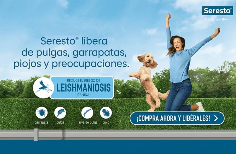 Seresto collar antiparasitos perros