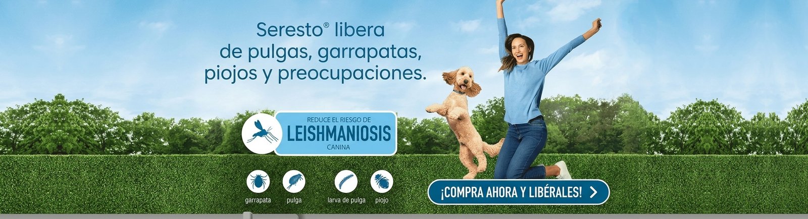 Seresto collar antiparasitos perros