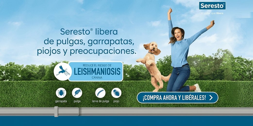 Seresto collar antiparasitos perros