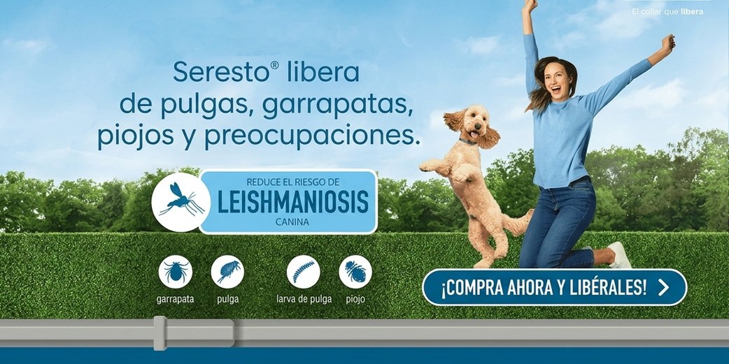 Seresto collar antiparasitos perros