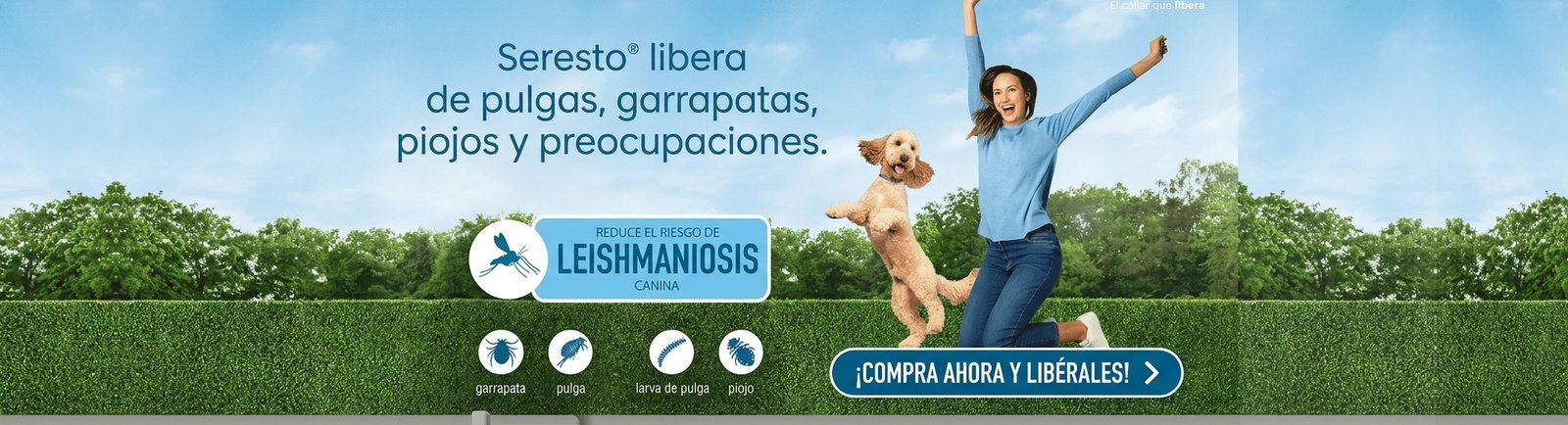 Seresto collar antiparasitos perros